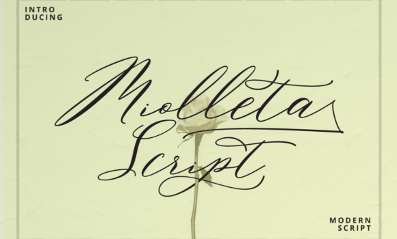 Miolleta Script Font - Featured Image