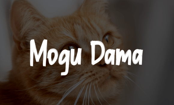Mogu Dama Font Fonts Free Download Mogu Dama Font - Featured Image