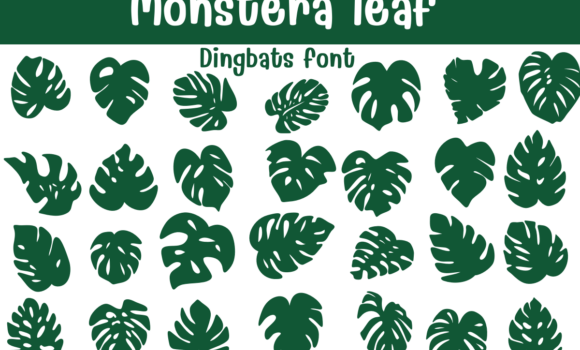 Monstera Leaf Font - Featured Image