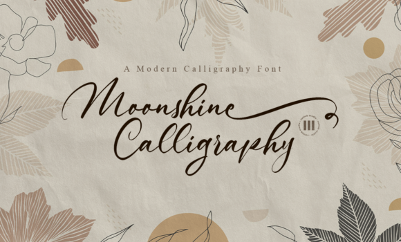 Moonshine Calligraphy Font - Featured Image