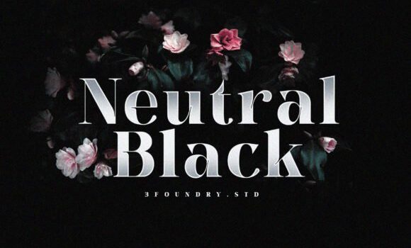 Neutral Black Font - Featured Image