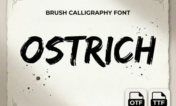Ostrich Font Fonts Free Download Ostrich Font - Featured Image