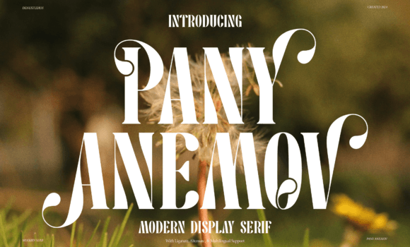 Pany Anemov Font Fonts Free Download Pany Anemov Font - Featured Image