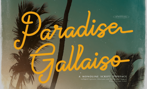 Paradise Gallaiso Font Fonts Free Download Paradise Gallaiso Font - Featured Image