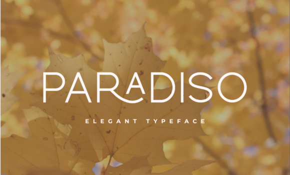 Paradiso Font - Featured Image