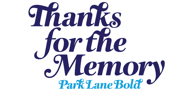 Park Lane Family Font - Featured Image