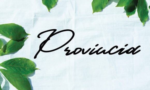 Provincia Font - Featured Image