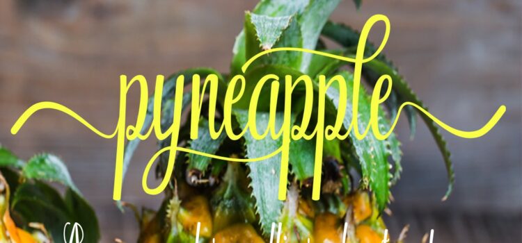 Pyneapple Font Fonts Free Download Pyneapple Font - Featured Image