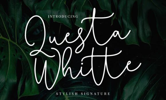 Questa Whitte Script Font - Featured Image