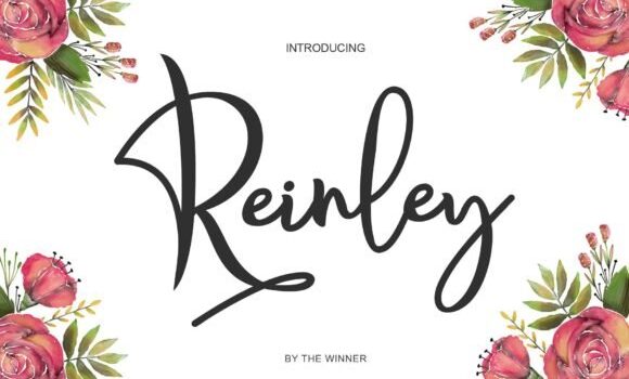 Reinley Font - Featured Image