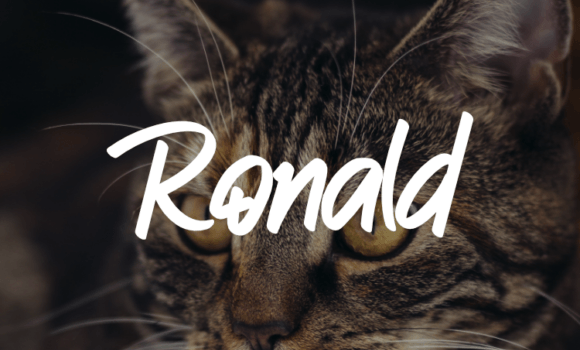 Ronald Font - Featured Image