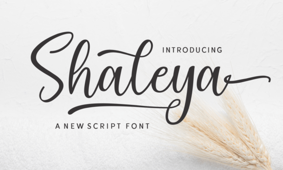 Shaleya Font Fonts Free Download Shaleya Font - Featured Image