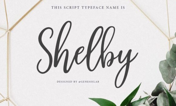 Shelby Script Font Fonts Free Download Shelby Script Font - Featured Image
