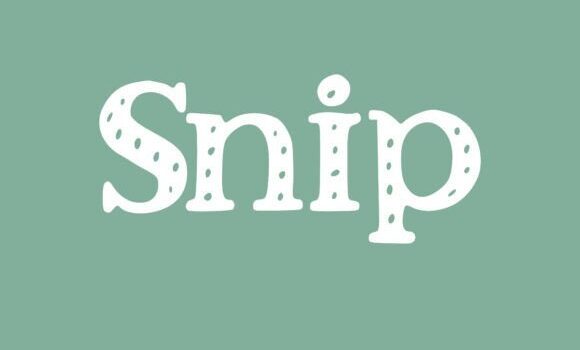 Snip Font Fonts Free Download Snip Font - Featured Image